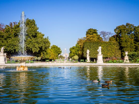 Jardin des Tuileries