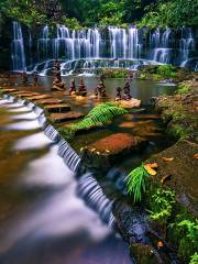 Jiulong Waterfalls Forest Park
