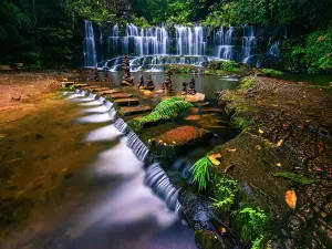 Jiulong Waterfalls Forest Park