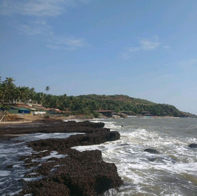 Candolim Beach