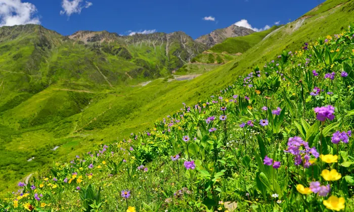 Отели с услугой Номер с балконом в г. Вэньчуань