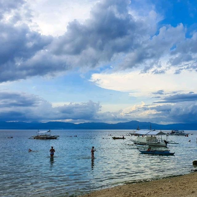 Moalboal Sardine Run