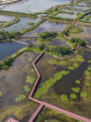 石屏異龍湖国家湿地公園