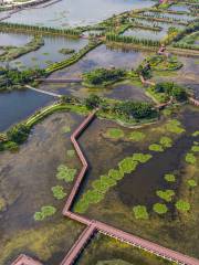 Shiping Yilonghu National Wetland Park