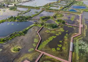 石屏異龍湖国家湿地公園