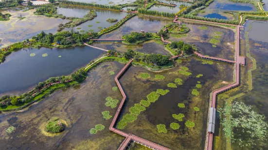 Shiping Yilonghu National Wetland Park