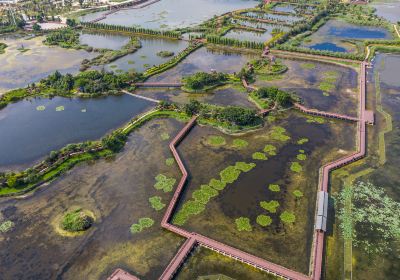 Shiping Yilonghu National Wetland Park