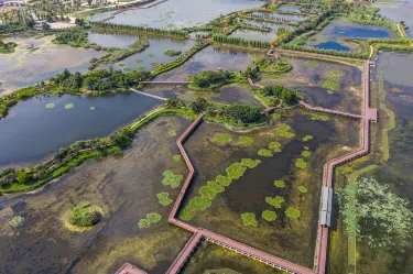 Shiping Yilonghu National Wetland Park