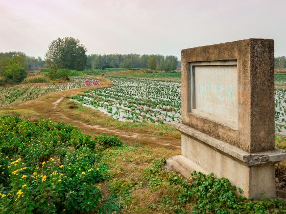 垓下遺址