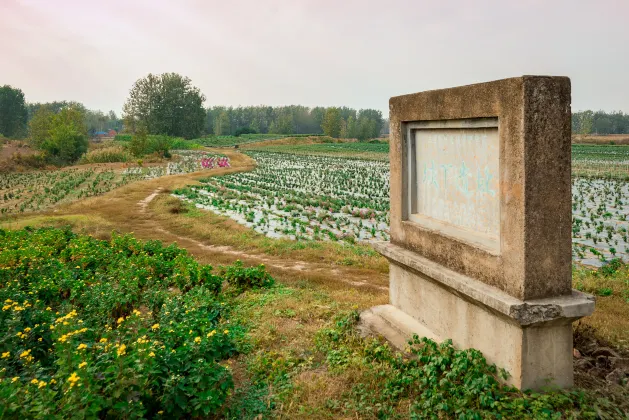 Отели рядом со станцией 