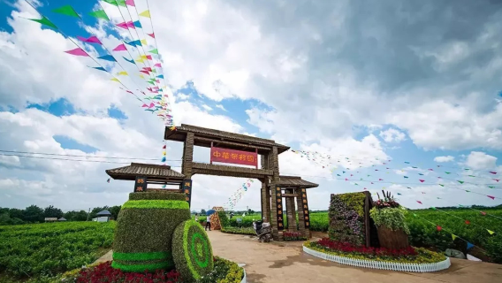 Hengxian Molihua Culture Park