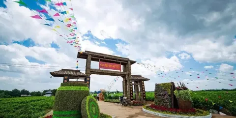 橫縣茉莉花文化公園