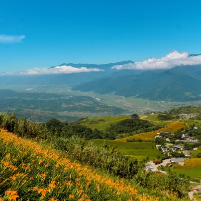 花蓮 飛 松山市