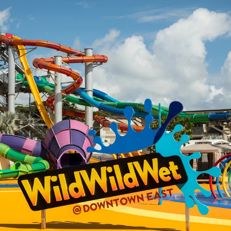 Wild Wild Wet水上樂園
