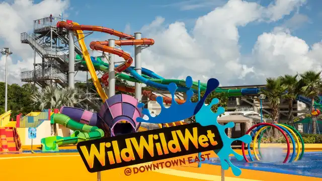 Wild Wild Wet