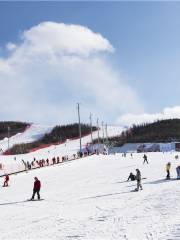 翠雲山銀河滑雪場