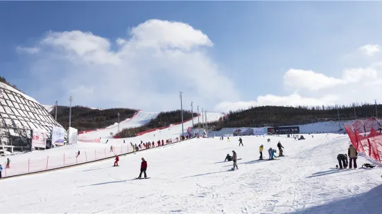 翠雲山銀河滑雪場
