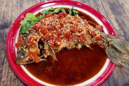 QIAN DA SHU DA PAI DANG