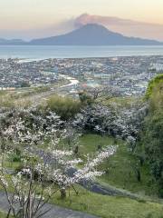 高岡公園