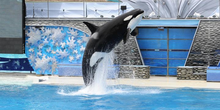 SeaWorld San Diego