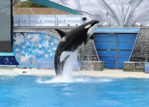 SeaWorld San Diego