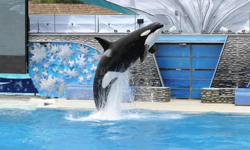SeaWorld San Diego