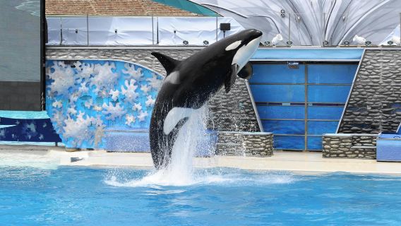 SeaWorld San Diego
