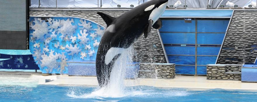 SeaWorld San Diego