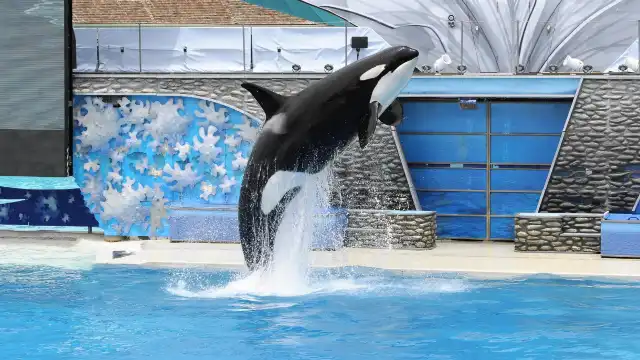 Hotels near SeaWorld San Diego