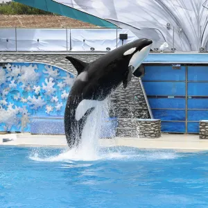 SeaWorld San Diego