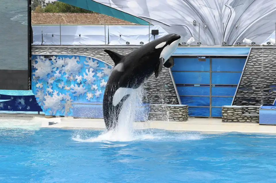 1_SeaWorld San Diego