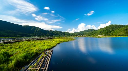 Beihai Wetlands