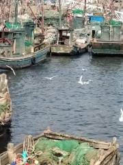 Jiaonan Jimiya Fishing Port
