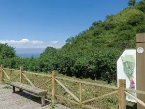 Wild-Walnut Forest Nature Reserve