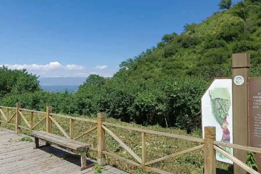 野核桃溝自然保護區