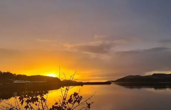 Delilah's Restaurant & Bar