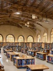 Stanford Library