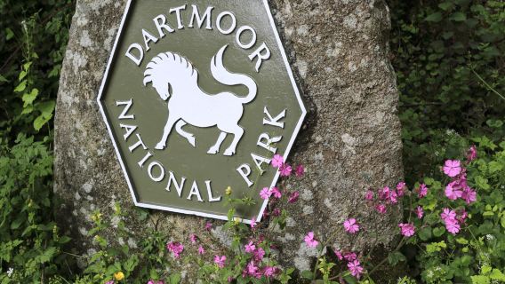 Dartmoor National Park