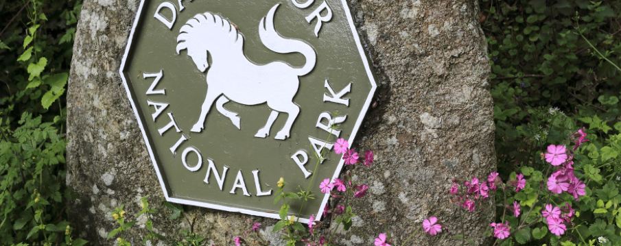 Dartmoor National Park
