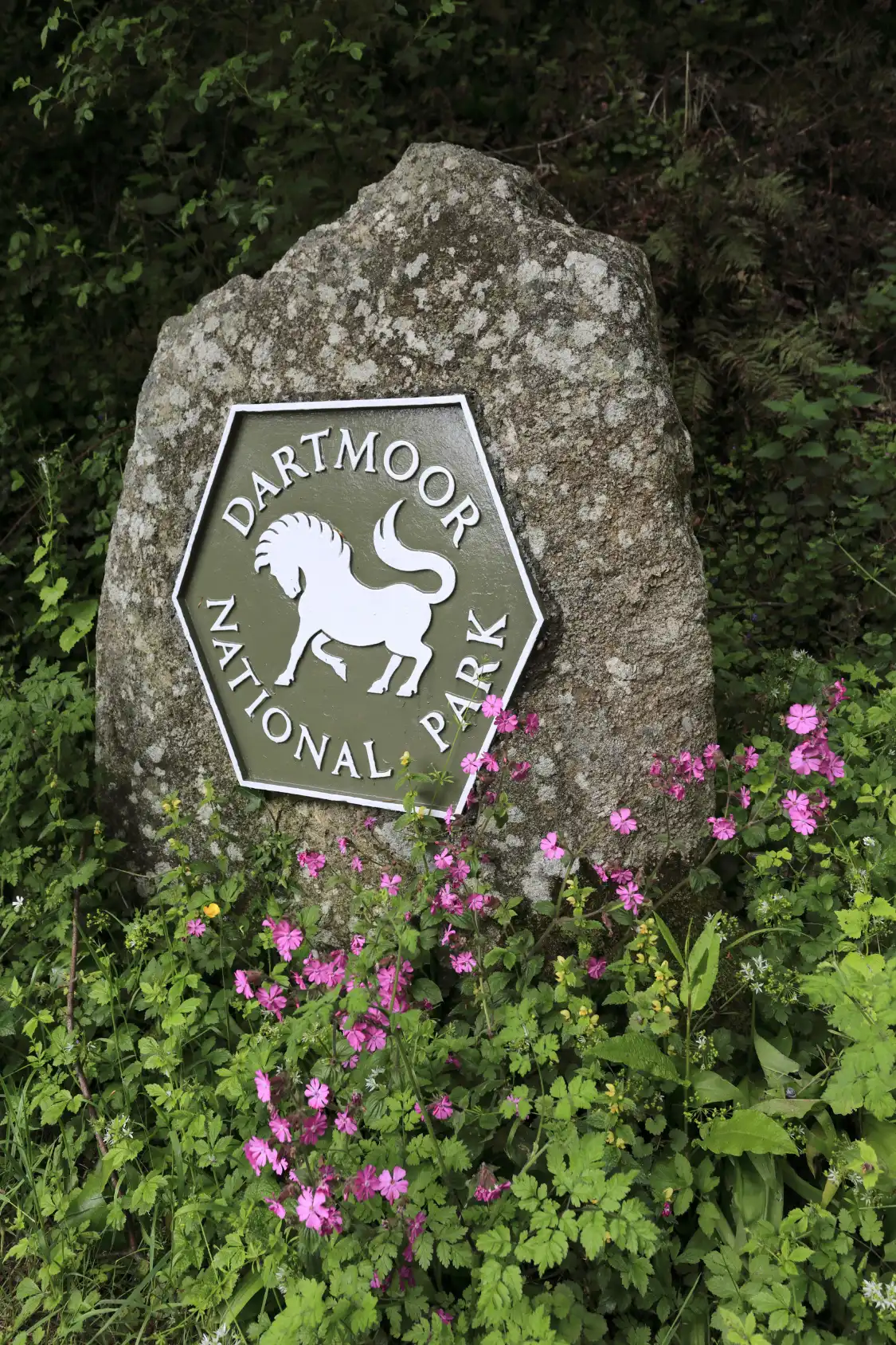 Hotels in der Nähe von Dartmoor National Park