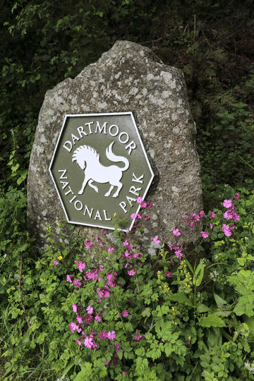 Dartmoor National Park