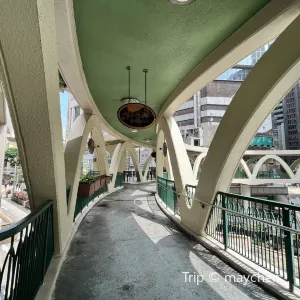 怡和街天橋(圓形天橋)