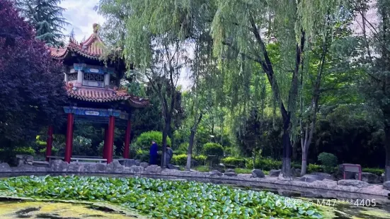 Liujiawan Park