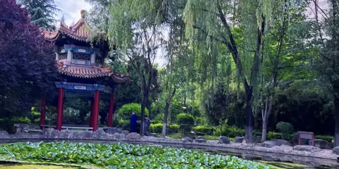 劉家灣公園