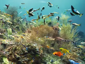 國立海洋生物資源館