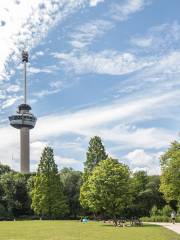 Euromast Rotterdam