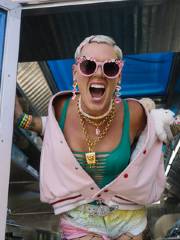 P!NK Live 2024