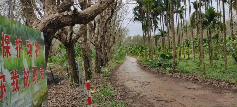 六連嶺周辺のホテル