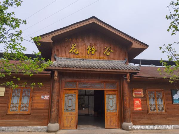 The World of Orchids