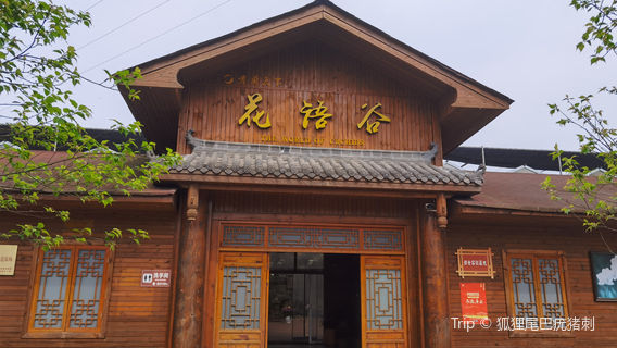 The World of Orchids